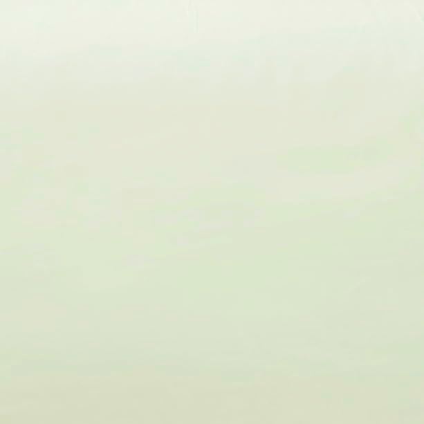 Linen Closet Luxury Cotton 144 Thread Count Organic Cotton Standard Pillowcases, Set of 2, Light Green