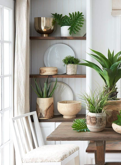 Serene Spaces Living 9.5" Paulownia Round Wood Bowl, Handmade Wooden Decorative Bowl for Décor, Parties, Wedding Centerpiece, Floral Arrangements, Set of 6, Measures 4" Tall and 9.5" Diameter