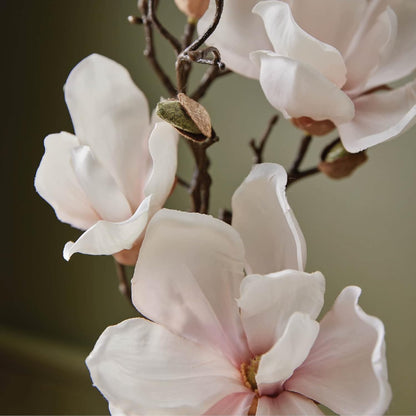 Thymes Moisturizing Hand Lotion for Dry Skin - Moisturizer for Beauty and Personal Care - Luxury Hand Lotion for Women & Men with Shea Butter & Aloe Vera (Magnolia Willow, 9 fl oz)