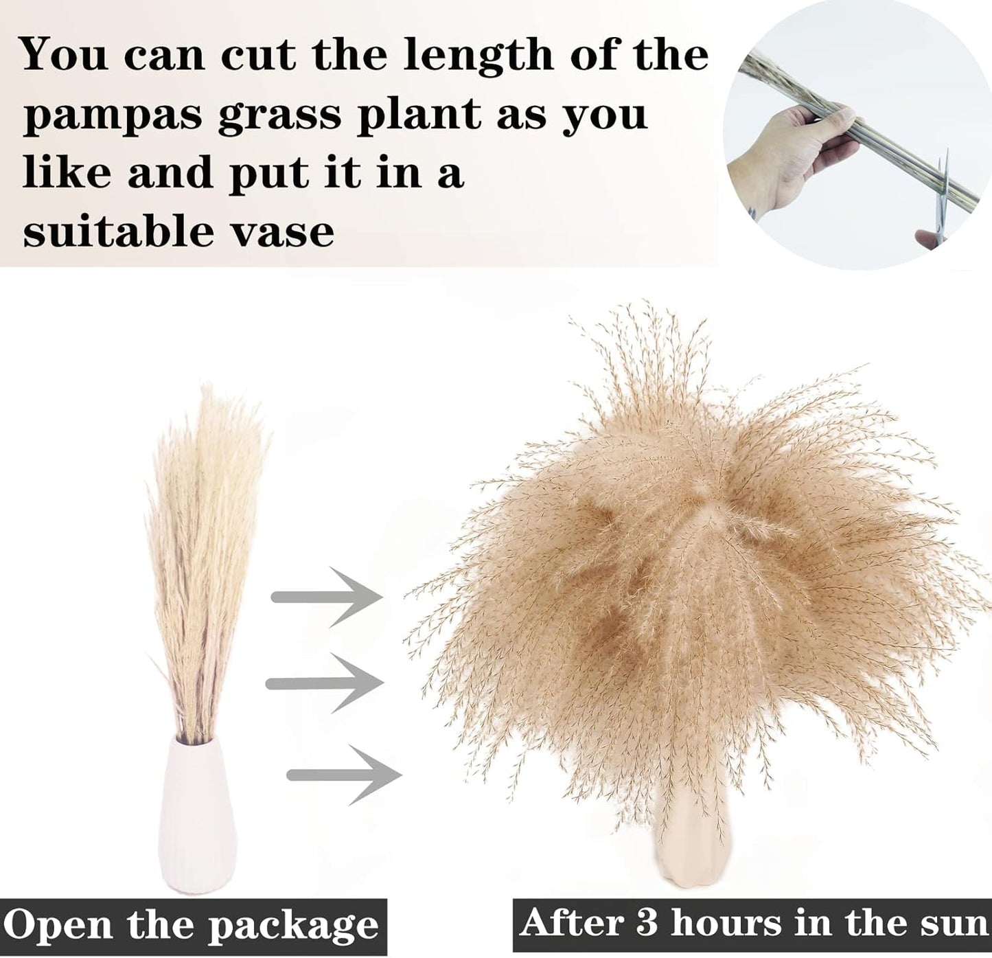 Natural Dried Pampas Grass Decor, Beige Pampas Grass, Bunny Tails Dried Flowers, Reed Grass Bouquet for Wedding Boho Flowers Home Table Decor, Rustic Farmhouse Party (100 in Total )