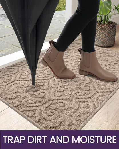 DEXI Front Door Entryway Mat Non Slip, 2x3 ft Washable Inside Entrance for House Floor Low Profile, Thin Entry Doormat Absorbent Dirt Trapper, Light Taupe
