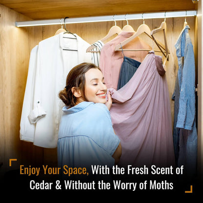 Dr. Killigan's Cedarwood Chip Canisters - Moth Repellent for Closets, Cedar Blocks for Clothes Storage, Drawer Deodorizers, 8 Reusable Tins with Wood Shavings