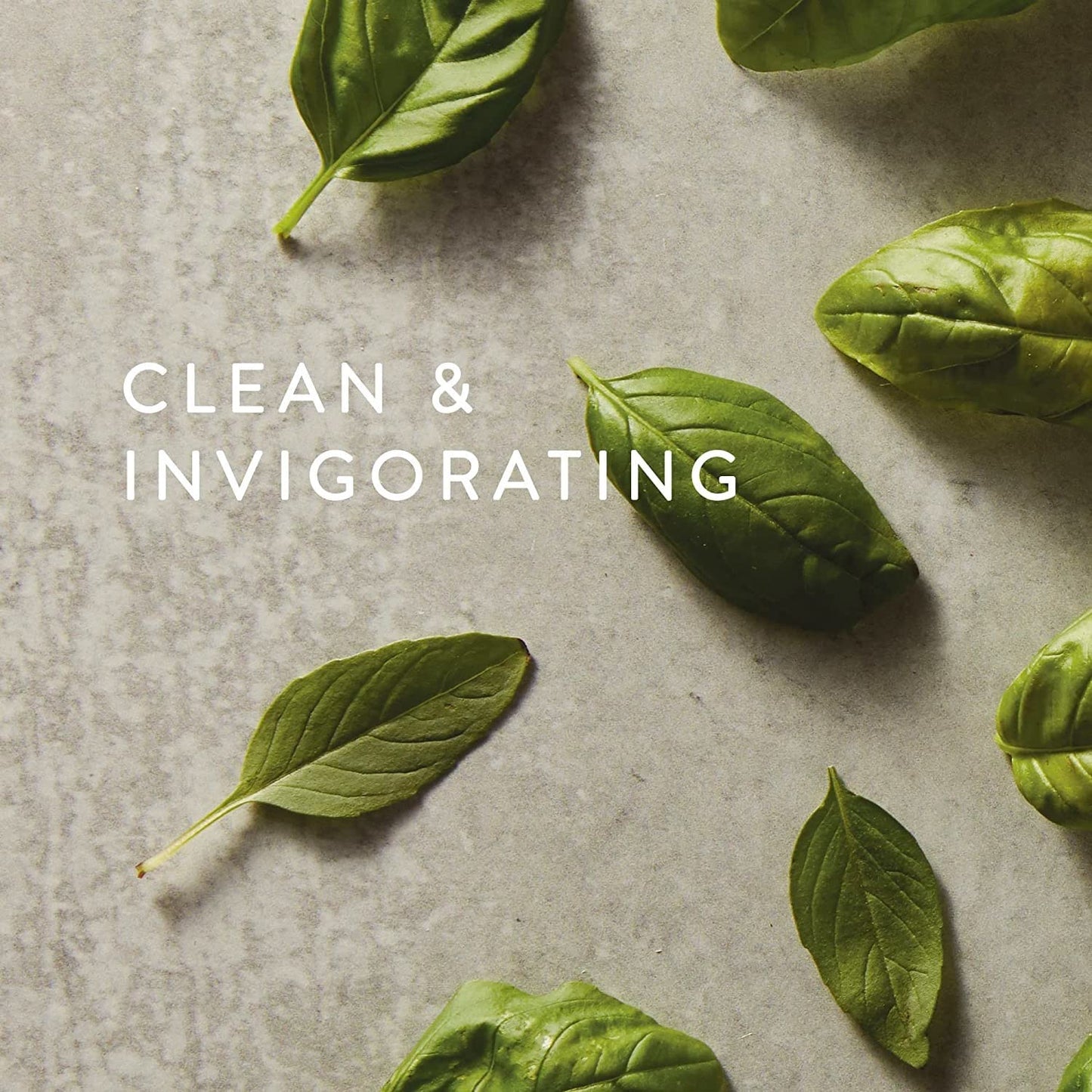 Thymes Moisturizing Hand Lotion for Dry Skin - Moisturizer for Beauty and Personal Care - Luxury Hand Lotion for Women & Men with Shea Butter & Aloe Vera (Fresh-Cut Basil, 9 fl oz)