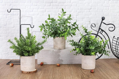 Der Rose 3 Pack Mini Potted Fake Plants Artificial Plastic Eucalyptus Plants Centerpieces for Table Home Office Desk Accessories Farmhouse Room Classroom Decor