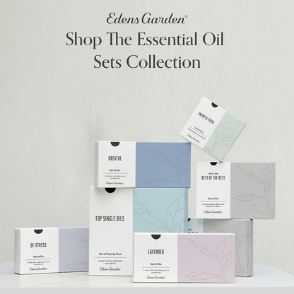 Edens Garden Rosalina Essential Oil- 100% Pure Premium Grade, Undiluted, Natural, Therapeutic, Aromatherapy, The Best for Diffuser, Skin, Humidifiers, Kid Safe 30 ml (1 fl oz)