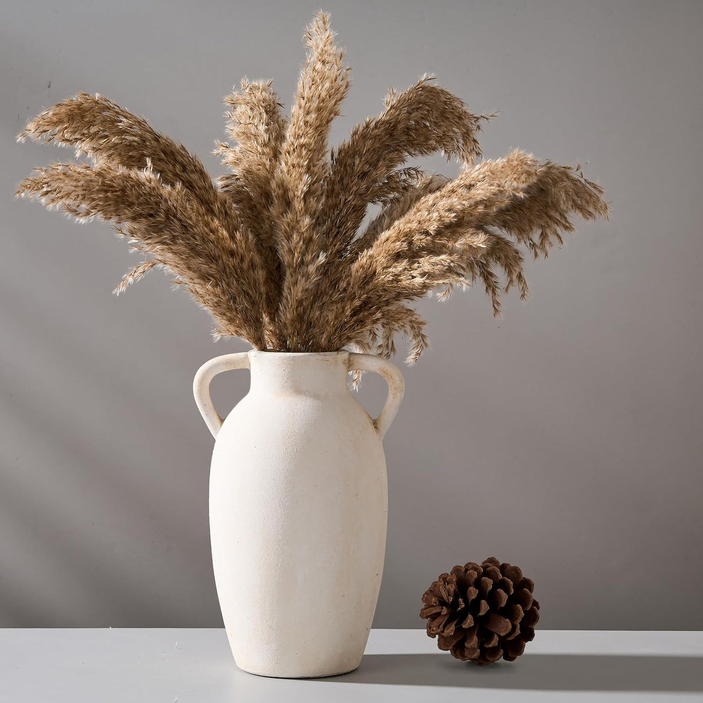 Ceramic Vase, 9.84 Inch Terracotta Vase with Handles, Boho Decor Decorative Vase, Rustic Vase for Home Decor, Farmhouse, Living Room, Table - Beige