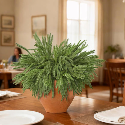 18 Pcs Real Touch Norfolk Pine Branches,Artificial Christmas Green Faux Cedar Norfolk Pine Stems Fake Greenery Pine Picks for Vase DIY Garland Wreath Xmas Indoor Outdoor Home Decoration (18 Inches)