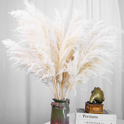20 PCS Dried Flower, 30-inch Tall Nature Pampas Grass Bouquet Decor - Boho Flowers and Feathers for Centerpieces, Perfect for Tall Floor Vase Fillers, Living Room, and Wedding Decor(White, Natural)