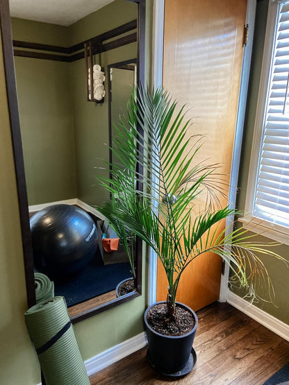 Frame My Mirror Brown Bathroom Mirror for Wall, 28" x 36" Espresso Textured Bathroom Vanity Mirror, Made in USA, Hangs Horizontally or Vertically, Ellis Design