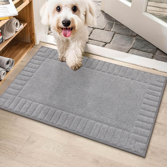 BEQHAUSE Door-Mat-Non-Slip Front Door Mat Washable Low-Profile Entrance Rugs for Front Door Entry Dirt Trapper Door Mats Absorbent Welcome Mats,20"x32",Light Grey