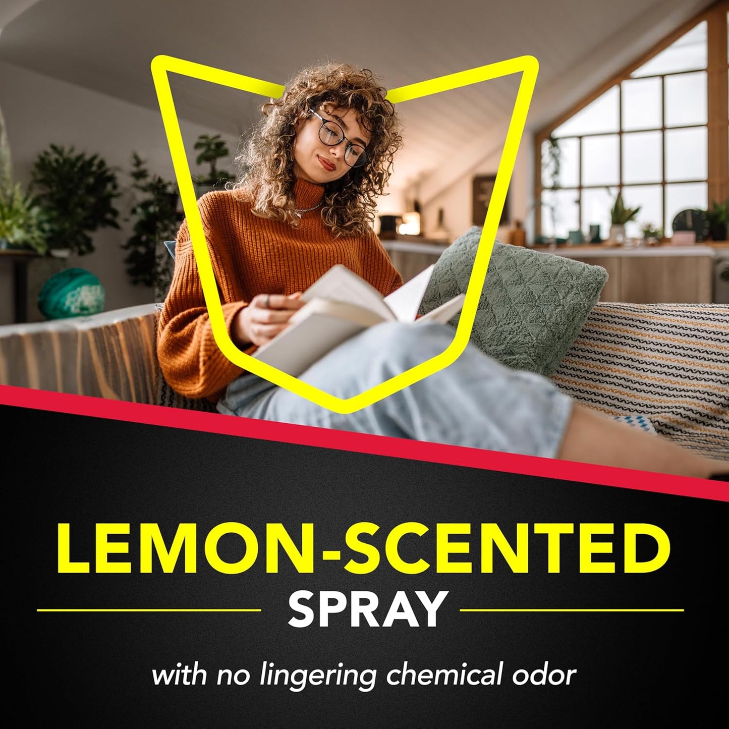 Raid Ant & Roach Killer Spray For Listed Bugs, Keeps Killing for Weeks, Lemon Scent, 17.5 oz